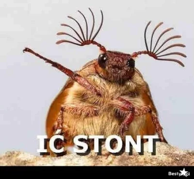 SixSigma - @OperationBlackEagle: