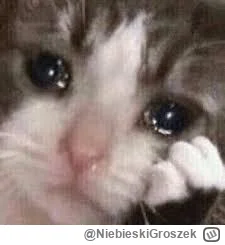 NiebieskiGroszek - #wykop #nowywykop #wykop20

najbardziej w tym nowym wykopie wkurza...