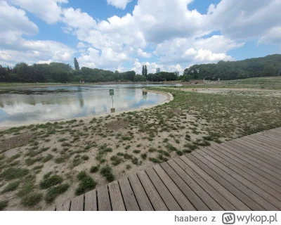 haabero - Dziękuje Pan Trzaskowski za wspaniale zrewitalizowany park :<
#warszawa