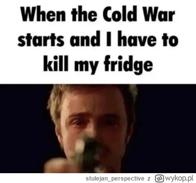 stulejan_perspective