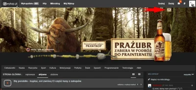 dojczszprechenicht - Przydałby się teraz prażubr ( ͡° ͜ʖ ͡°)