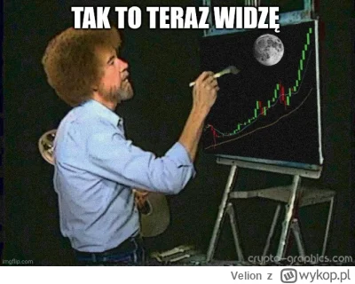 Velion - #kryptowaluty