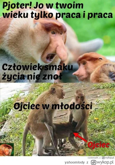 yahoomlody - kolekcja klasyki

#konkursnanajbardziejgownianymemznosaczem