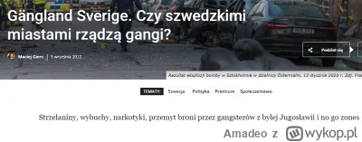 Amadeo - Polacy tacy tolerancyjni, to dostaną z pisdeczkę jak reszta zachodniego motł...