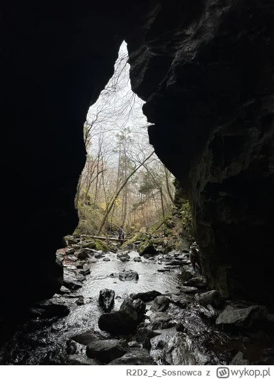 R2D2zSosnowca - @R2D2zSosnowca w środku jest taka akustyka że człowiek nie słyszy wła...