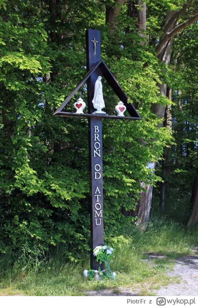 PiotrFr - Bo Polacy uwielbiają wspierać finansowo górników i z dumą świętują 4 grudni...