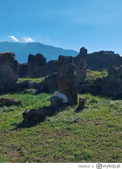 ruszcz - @Atreyu Pompejkicia (｡◕‿‿◕｡)