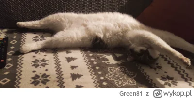 Green81 - Siemanko ฅ⁠^⁠•⁠ﻌ⁠•⁠^⁠ฅ

#koty #smiesznekotki #koteczkizprzypadku