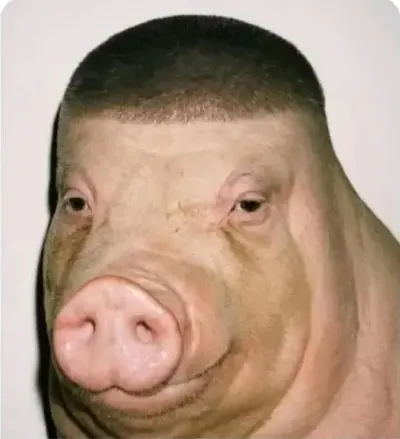 Alimenciarz - #famemma kazik klimat kartel