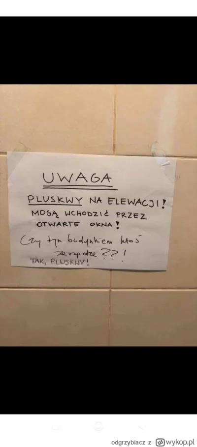 odgrzybiacz - Czy leci z nami pilot? #ddd #dezynsekcja #pluskwy #heheszki