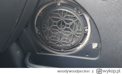 woodywoodpecker - #majsterkowanie Czym mogę do odkręcić ten głośnik? Citroen C2 w nim...