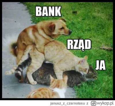 januszzczarnolasu - @kill15you: W sumie, tak...