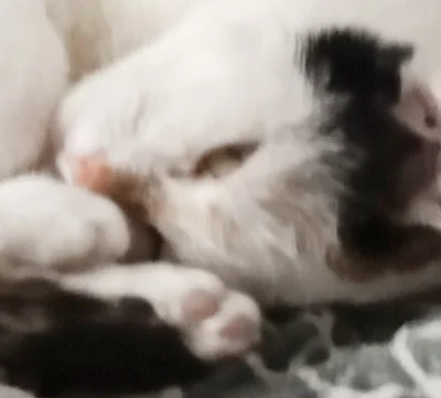 TakiSeLogin - @TrisssMerigold