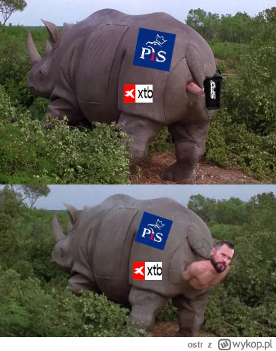 ostr - @mariusz-madejczyk: