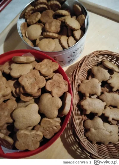 maegalcarwen - Kiedy rozum śpi, pieką się pierniczki #gotujzwykopem #pieczzwykopem