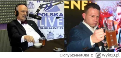 CichySzelestOka - Chyba nic bardziej nie świadczy o upadku młodego mężczyzny niż to, ...