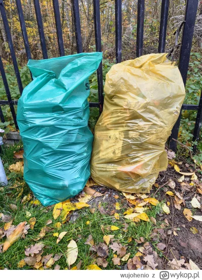 wujohenio - #sprzatamylasy
Grzybów nie ma, ale i tak jest zajebiście. Kolekcja z dwóc...