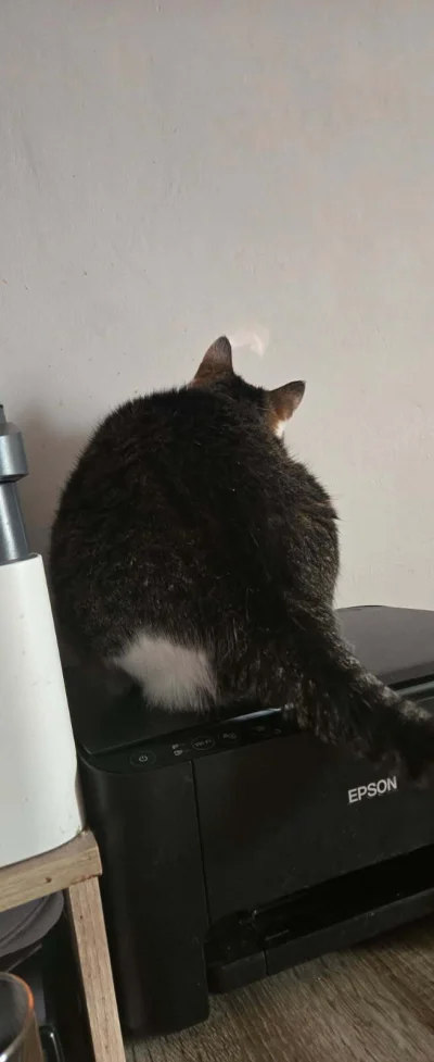 Solsith - @vateras131: ta sama miejscówka dzis( ͡° ͜ʖ ͡°)