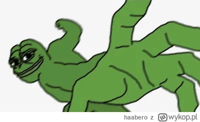 haabero - @Shoujiki: ja za każdym razem jak widzę wpisy z mordą berkowitza