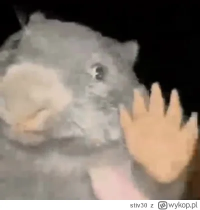 stiv30 - @wfyokyga: dodalem jedyna prawilna sciezke dzwiekowa pod tego gifa xD https:...