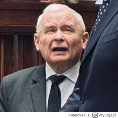 Shadovek - @straszny_cham: