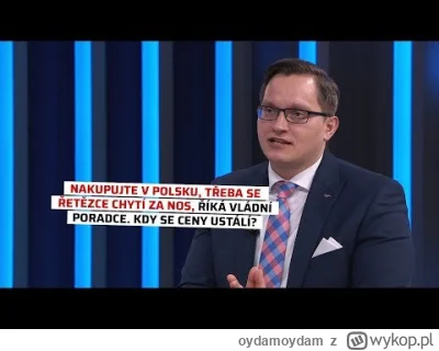 oydamoydam - W Czechach w telewizji ekonomista i doradca czeskiego rządu poradził Cze...