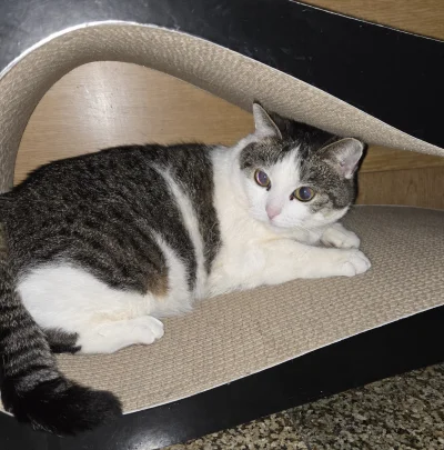 Solsith - @Solsith: już się kitra( ͡° ͜ʖ ͡°)