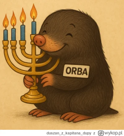 duszanzkapitana_dupy - Witam, oto Krecik Żyd, na imię ma Orba. Zakładam nowy tag: #zy...