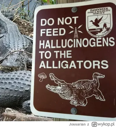 Jossarian - ( ͡° ͜ʖ ͡°)