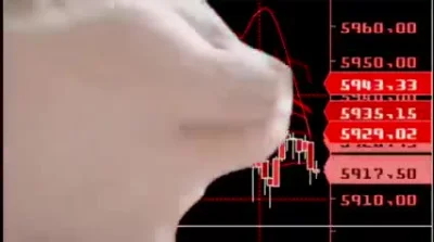 professionalgambler - #gielda