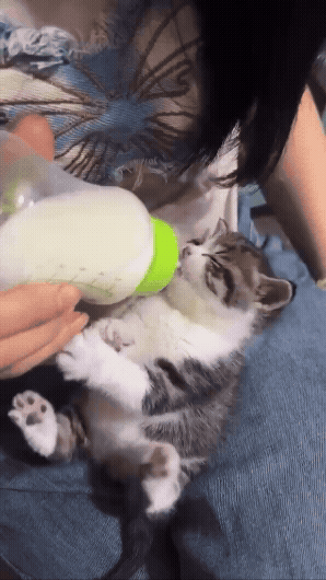 jestemtakizmeczony - @jestemtakizmeczony: