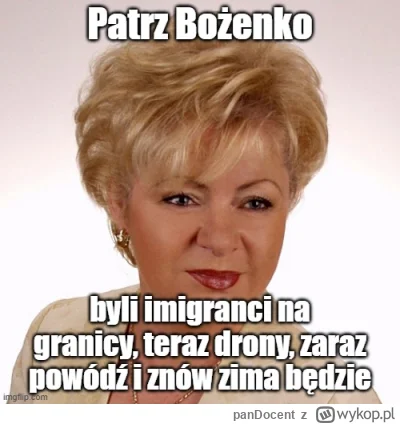 panDocent - Dałem z siebie 20%. Mem ma charakter humorystyczny. Nie ma za zadanie nik...