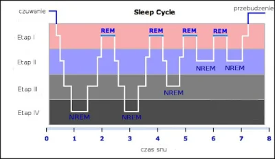 Meeeh - Czy  cykle snu mają jakiś sens czy szamaństwo?