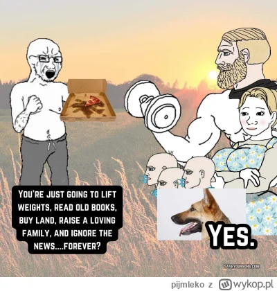 pijmleko - To jakiś nowy fenomen? Coraz więcej memów tego tupy widzę nawet jako spons...