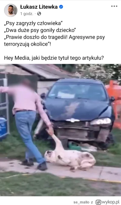 se_mallo - Final Boss psiarzy się zesrał o tytuły materiałów w mediach. xddd #psiarze...