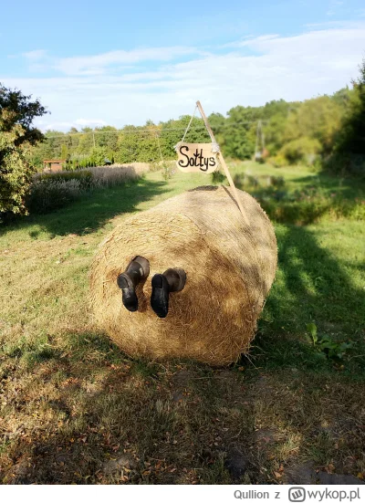 Qullion - Koniec wakacji, cały dzień 30 st., porządek z sołtysem wieś zrobiła. Hura j...