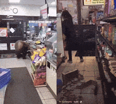 Drom - Niedźwiedzie gdy kradną, to robią to z klasą.