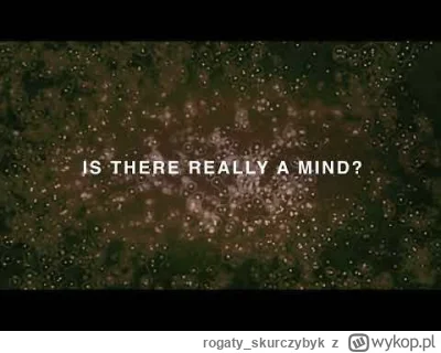 rogaty_skurczybyk - Where does your mind begin?