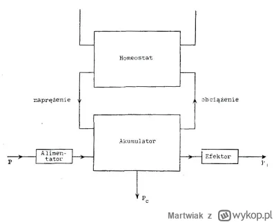 Martwiak - Z punktu widzenia sterowania się systemu autonomicznego w otoczeniu istotn...