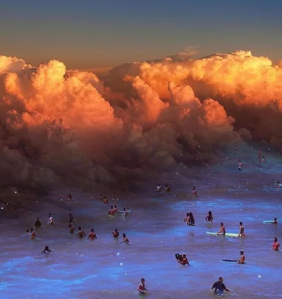 DziecizChoroszczy - Wybrzeże #radzionkow (｡◕‿‿◕｡)