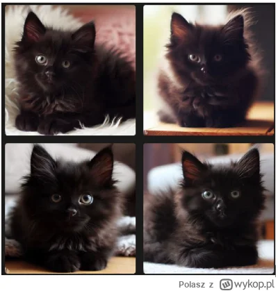 Polasz - AI jest niesamowity. Wpisałem zapytanie
 Czarny puchaty kotek o imieniu Fela...