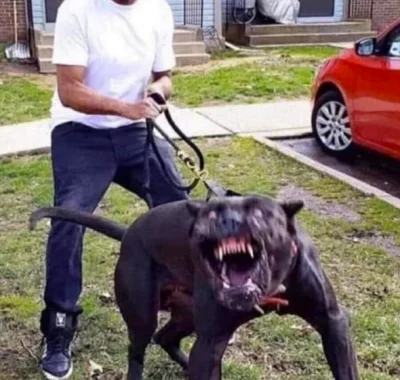 r.....x - @996ef650daf32b92bf708bc9376908ea: zapominaleś o metodzie na "puszek chciał...