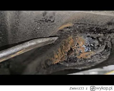 Zwierz33 - @revoolution: Ja gdybym widział jakieś masy, kleiki pod autem to bym podzi...