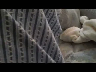 heinrich-von-spychow - @JK74: Testo to mógłby tyle powiedzieć dla losgumita