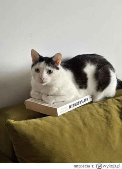 mtgosciu - @kolorowy_monochrom: brat pozdrawia