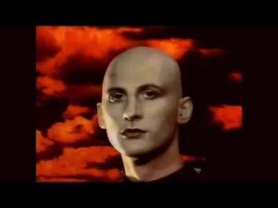 MidnightCowboy - #przegryw