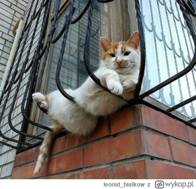 leonid_bialkow - @Graner: hejsia