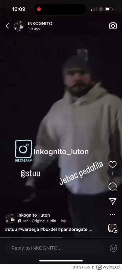 Bialy7665 - #famemma W Anglii dalej polują na Polskiego Pingwina