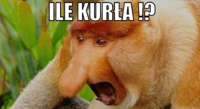 fevo - @SpongeBobertKanciastoRenki 11 lat na tym zapomnianym przez boga portalu??? Ps...