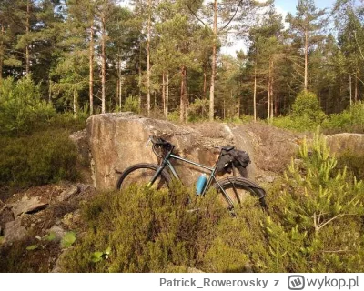 Patrick_Rowerovsky - 280 405 + 38 = 280 443

Poranne okrążenie jeziora.

#rowerowyrow...